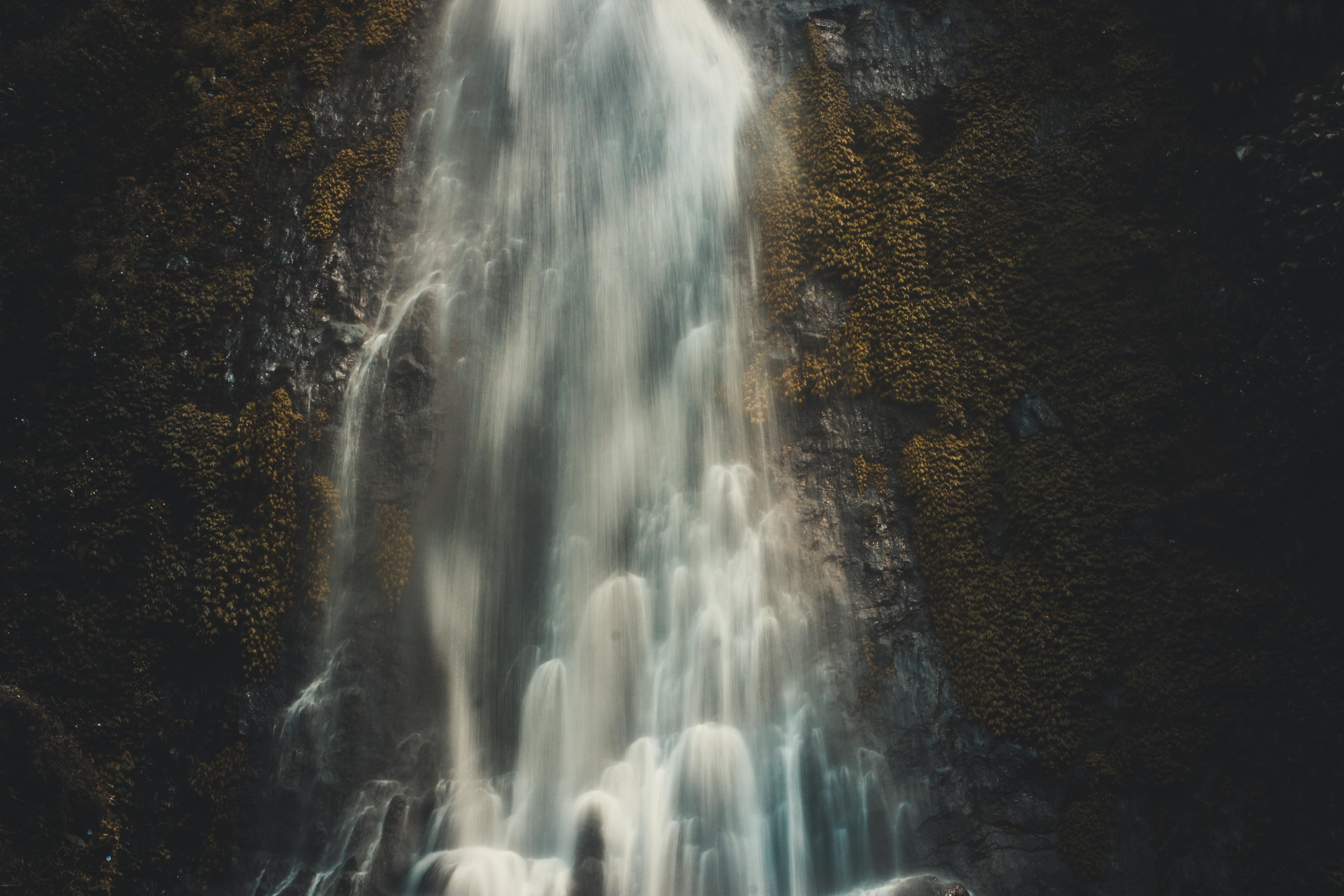 pexels-drayhanz-1056115.jpg